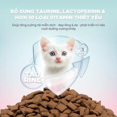Thức ăn hạt cho mèo Churro C90K PetQ