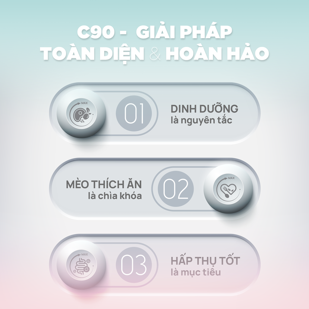 Thức ăn hạt cho mèo Churro C90K PetQ