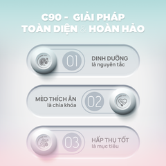 Thức ăn hạt cho mèo Churro C90K PetQ