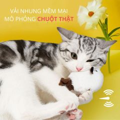 Đồ chơi đuổi bắt hình chuột FOFOS