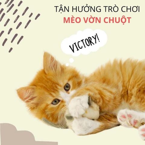 Đồ chơi đuổi bắt hình chuột FOFOS