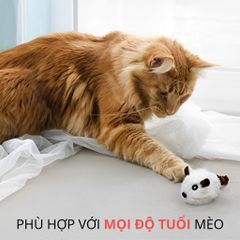 Đồ chơi đuổi bắt hình chuột FOFOS