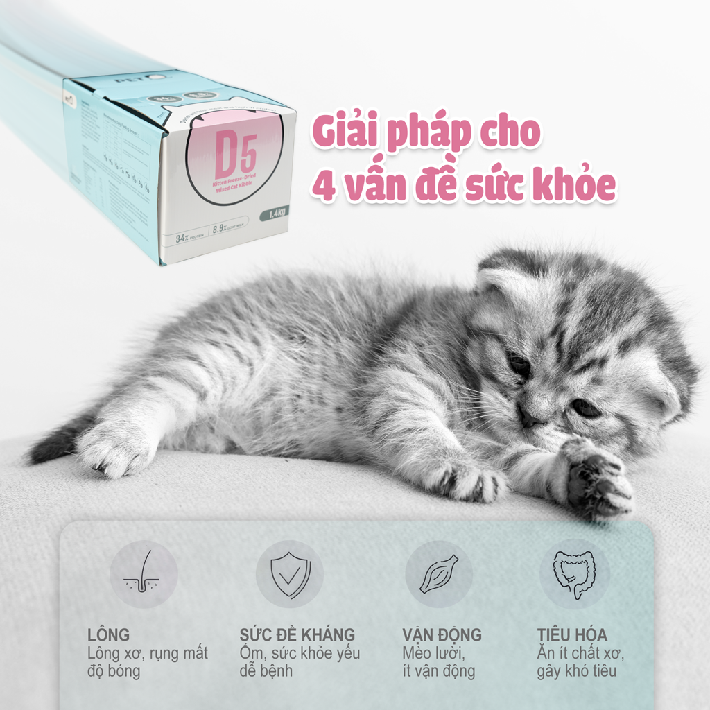 Thức ăn hạt macaron D5 PetQ