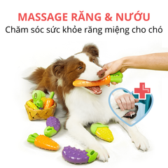 Đồ chơi phát ra tiếng hình trái cây FOFOS