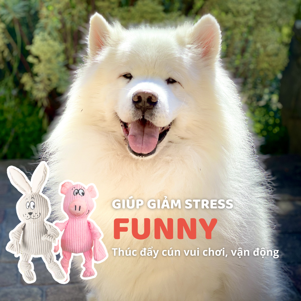 Đồ chơi thú bông hình gấu xám & heo hồng FOFOS