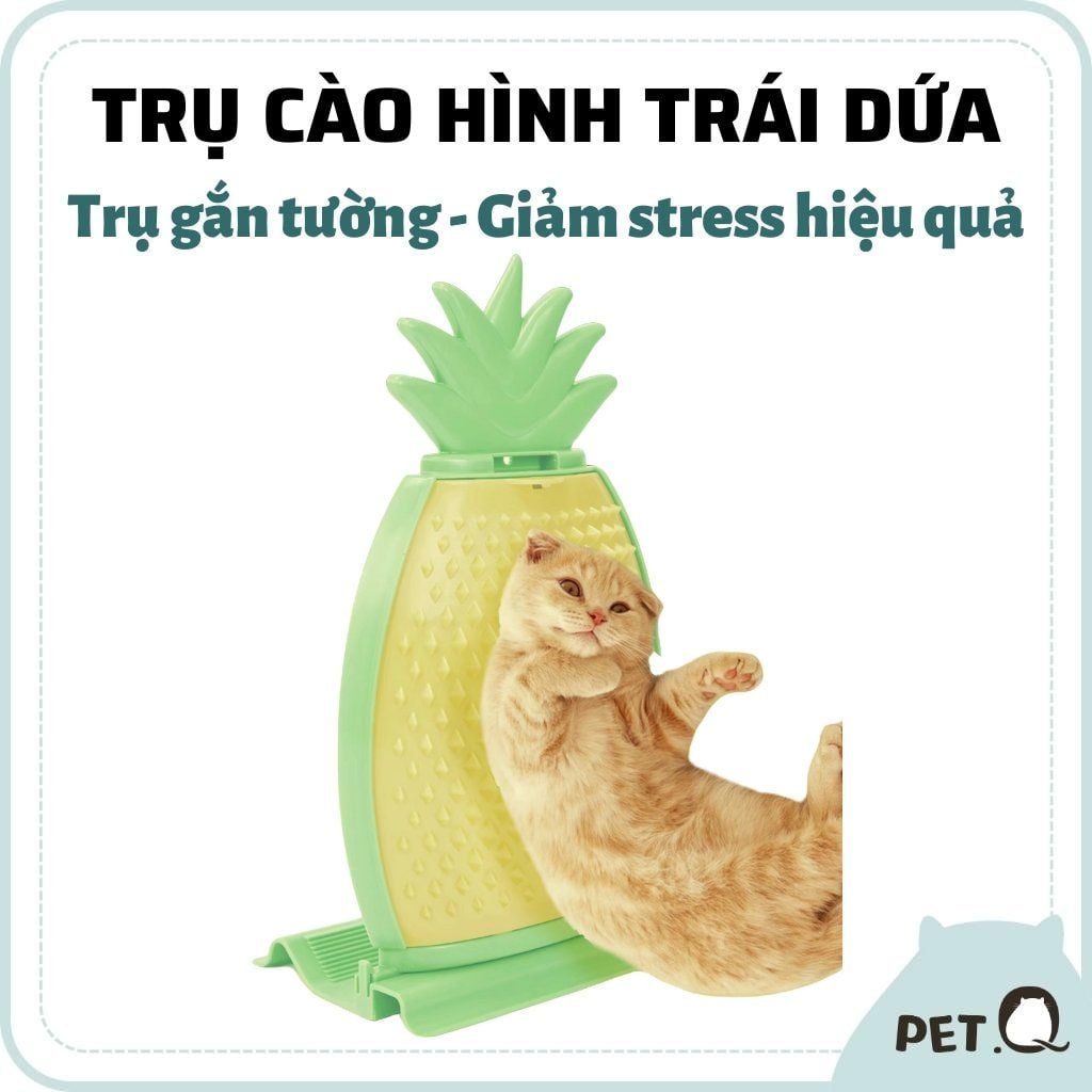 Trụ cào móng gắn tường hình trái dứa FOFOS