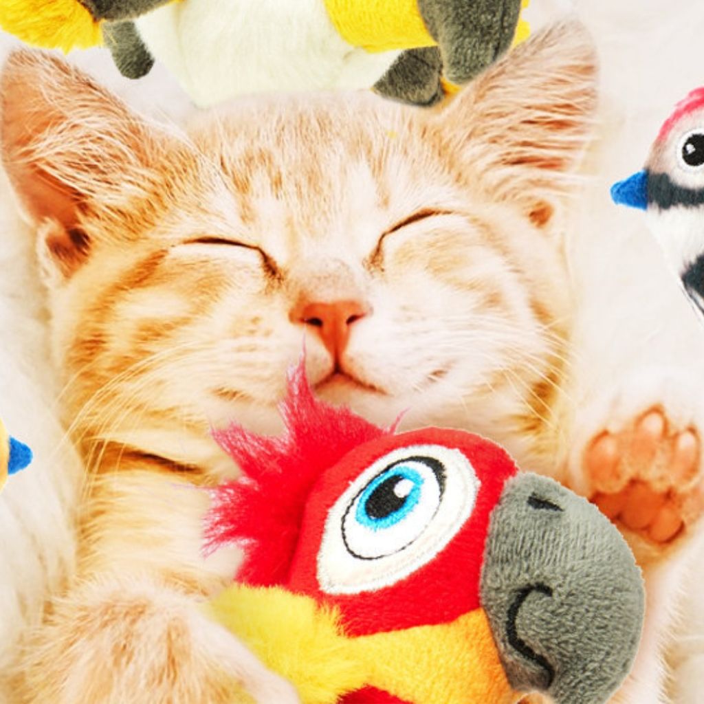 Đồ chơi chim vẹt FOFOS có tiếng kêu kèm bóng catnip