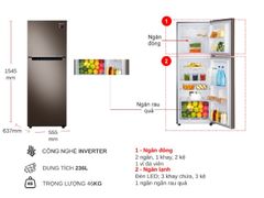 Tủ lạnh Samsung Inverter 236 lít RT22M4040DX/SV
