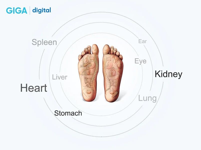 Máy massage chân bấm huyệt Xiaomi F3 OVICX