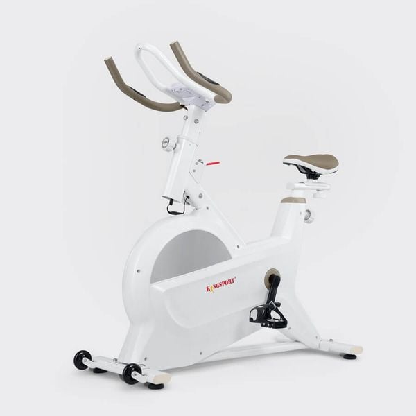 Xe đạp tập Kingsport BK-5805