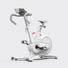 Xe đạp tập Kingsport BK-5814