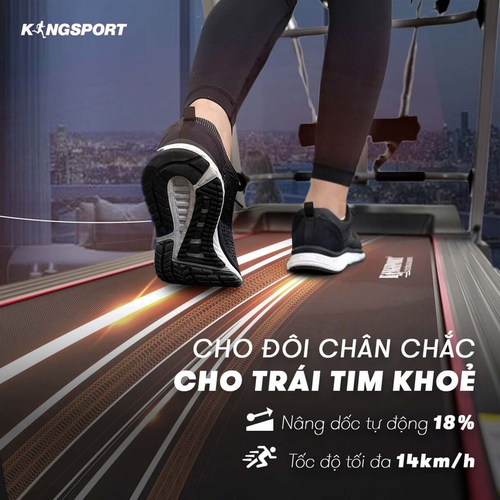 Máy Chạy Bộ Kingsport BK-8000 Pro Đa Năng