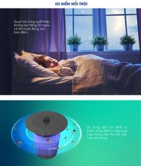 Đèn bắt muỗi Rạng Đông