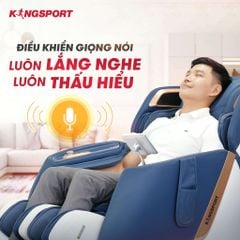 Ghế Massage Kingsport A1
