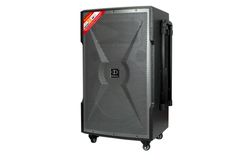 Loa kéo Dalton TS-15G700X (kèm 2 mic) 700W Bass 40cm