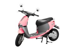 Xe Điện NIJIA GOGO MAX