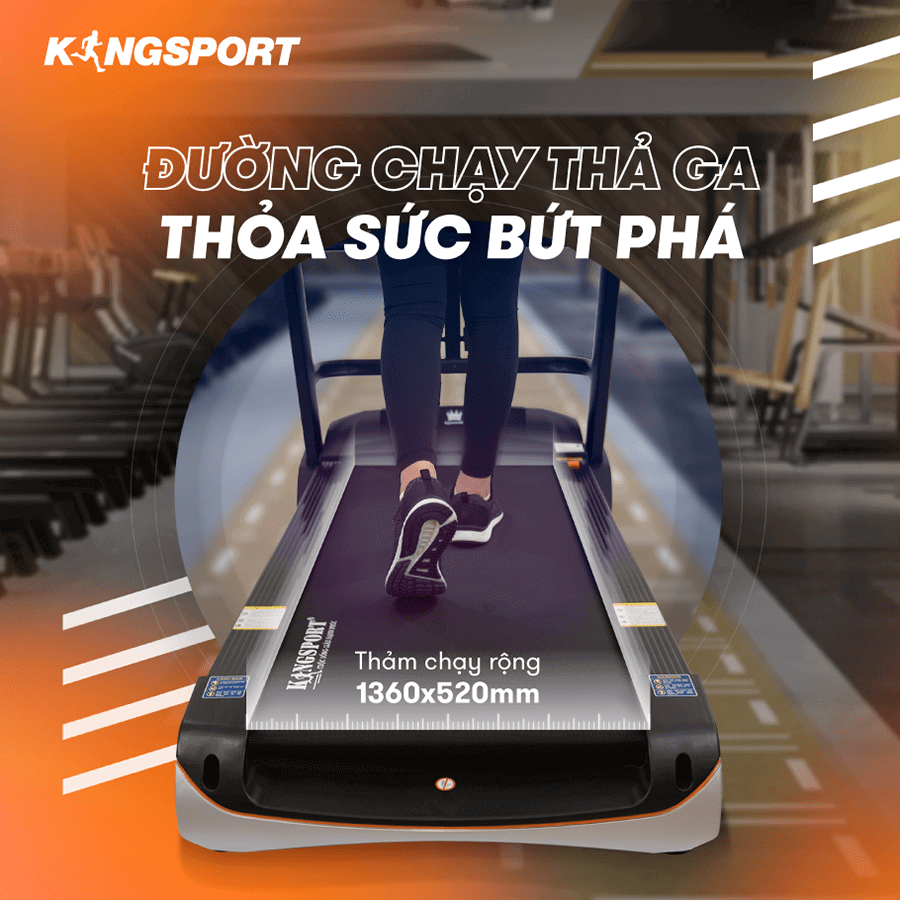 Máy chạy bộ Kingsport Luxury KS-2035 đa năng
