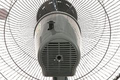 Quạt lửng Senko L1638