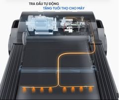 Máy chạy bộ Kingsport BK-2038 đa năng