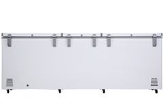 Tủ đông Sanaky 900 lít VH-1199HY