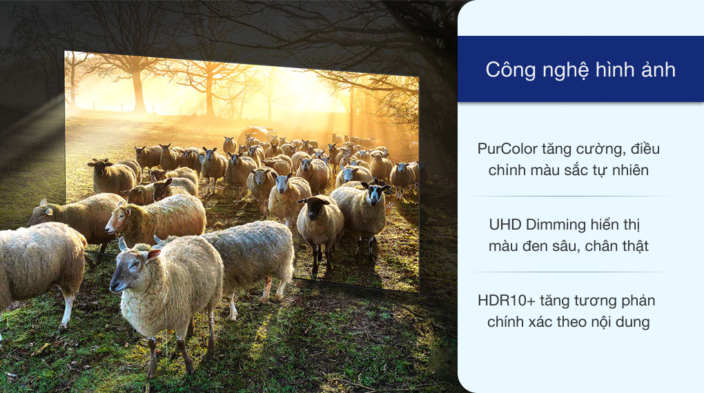 Smart Tivi Samsung 4K 50 inch UA50AU7700