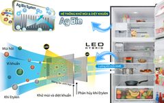 Tủ lạnh Toshiba Inverter 608 lít GR-AG66VA (X)