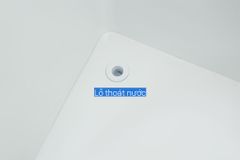 Tủ đông Hòa Phát 245 lít HCF 606S2Đ2