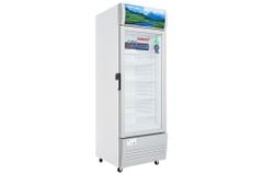 Tủ mát Sanaky 240 lít TM.VH308KL
