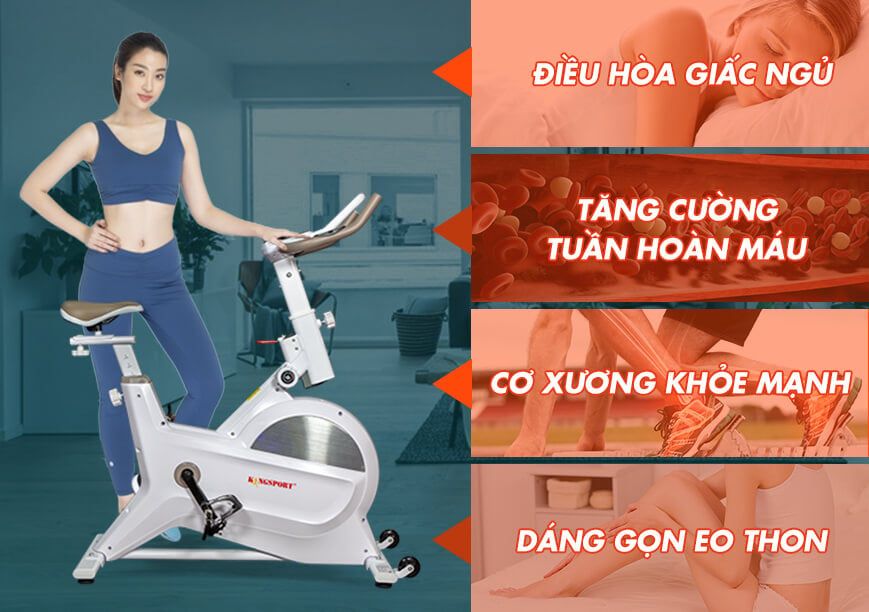 Xe đạp tập Kingsport BK-5805