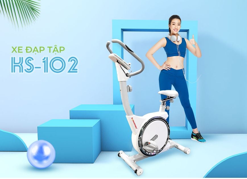 Xe đạp tập Kingsport KS-102