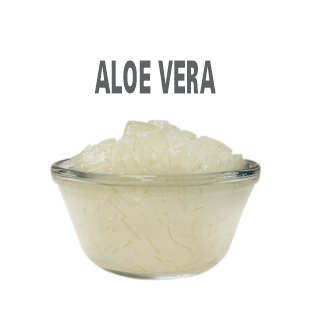  Aloe vera 
