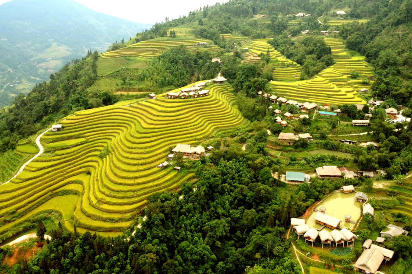 Hà Nội - Bắc Hà - Hoàng Su Phì 3N2Đ - Mùa hoa mùa mây