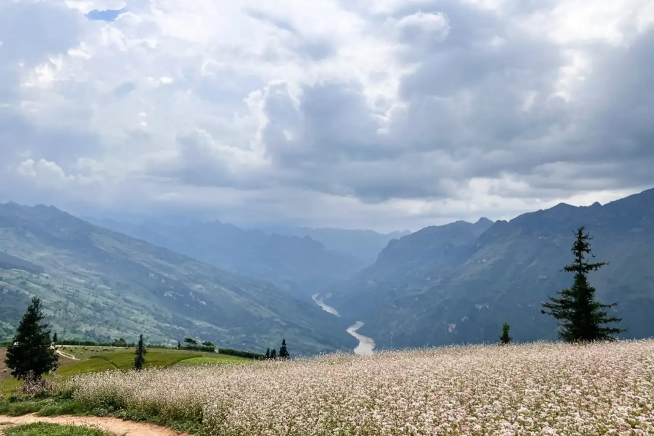 Tour Sapa - Bản Cát Cát - Moana - Fansipan | 3 ngày 2 đêm