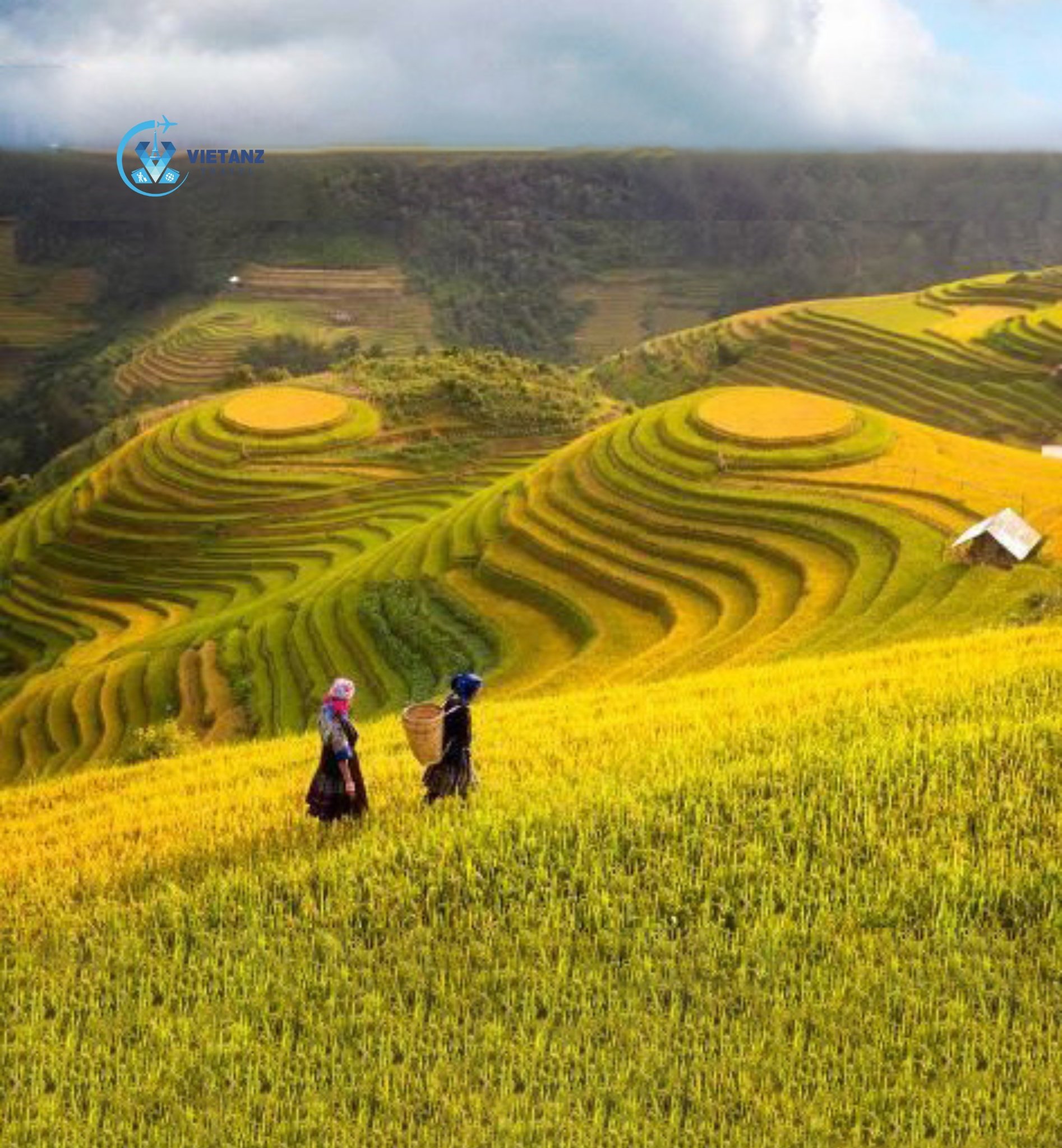 Tour du lịch Nghĩa Lộ - Mù Cang Chải - Tú Lệ - Trạm Tấu | 3 ngày 2 đêm