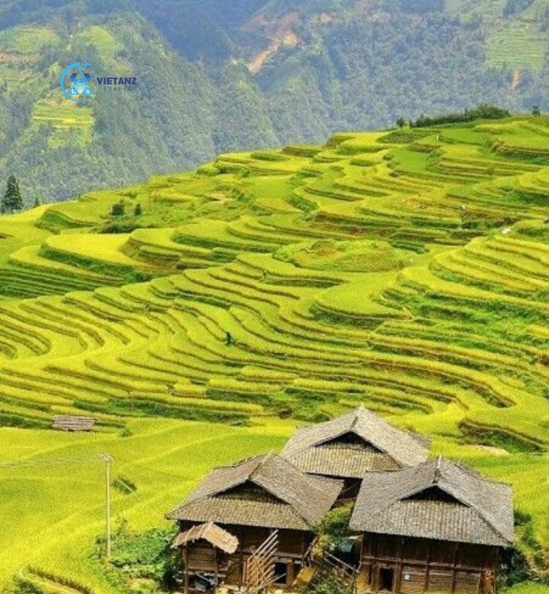 Tour du lịch Nghĩa Lộ - Mù Cang Chải - Tú Lệ - Trạm Tấu | 3 ngày 2 đêm
