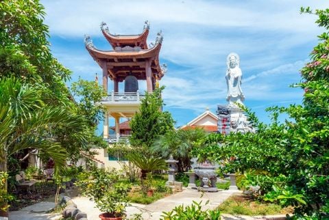 Tour Mộc Châu - Chùa Phật Quang | 2 ngày 1 đêm