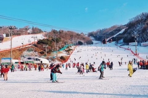 SEOUL - LOTTE WORLD - TRƯỢT TUYẾT