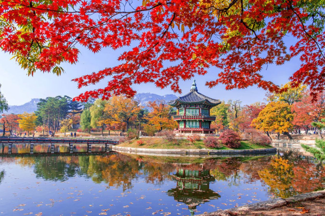 Tour Hà Nội - Seoul-Nami- Everland- Thư Viện Sách / 5 ngày 4 đêm