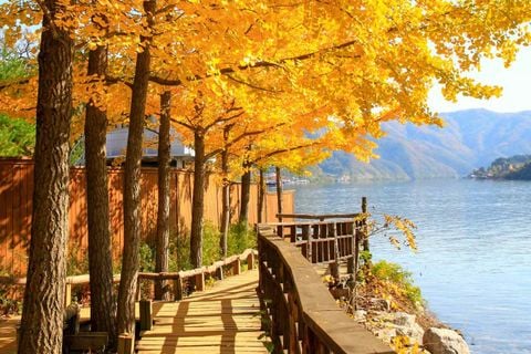 Tour Hà Nội – Busan -Seoul– Đảo Nami – Incheon / 6 ngày 5 đêm