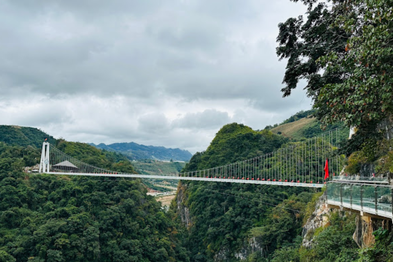 Tour du lịch: Hà Nội - Mộc Châu - Cầu Kính Bạch Long | 2 ngày 1 đêm