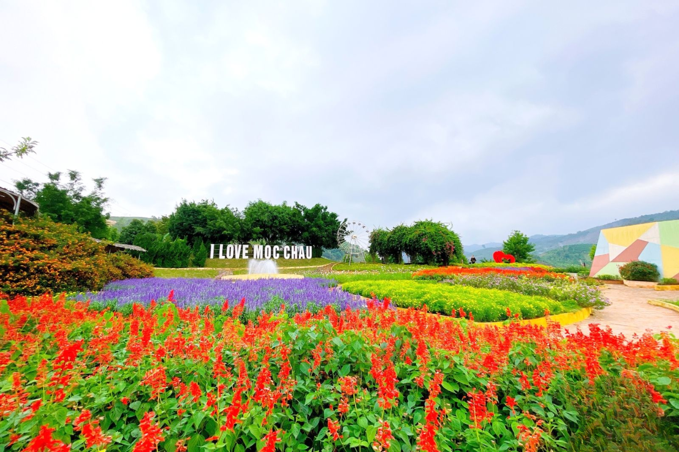 Tour du lịch: Hà Nội - Mộc Châu - Cầu Kính Bạch Long | 2 ngày 1 đêm