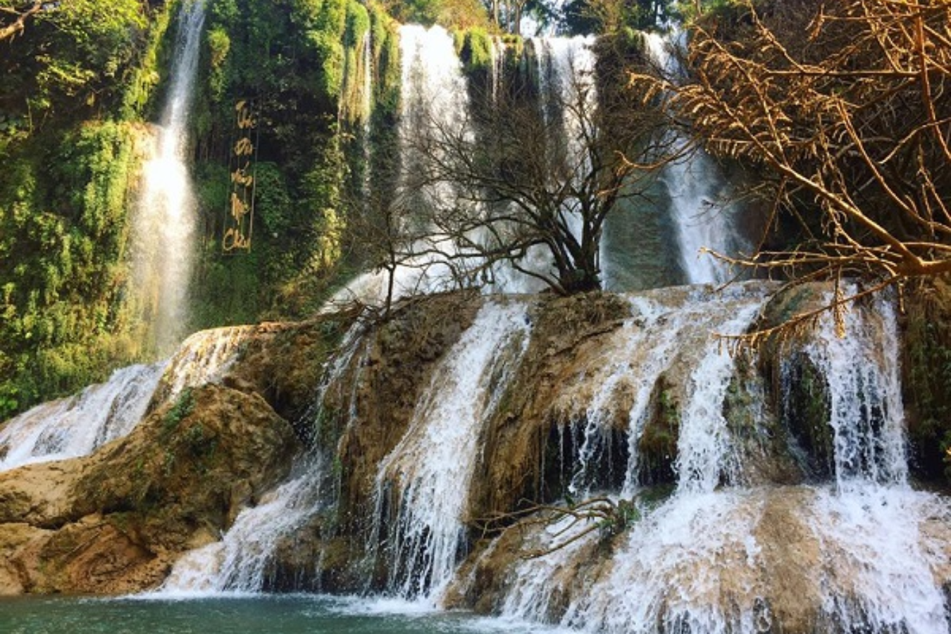Tour du lịch: Hà Nội - Mộc Châu - Cầu Kính Bạch Long | 2 ngày 1 đêm