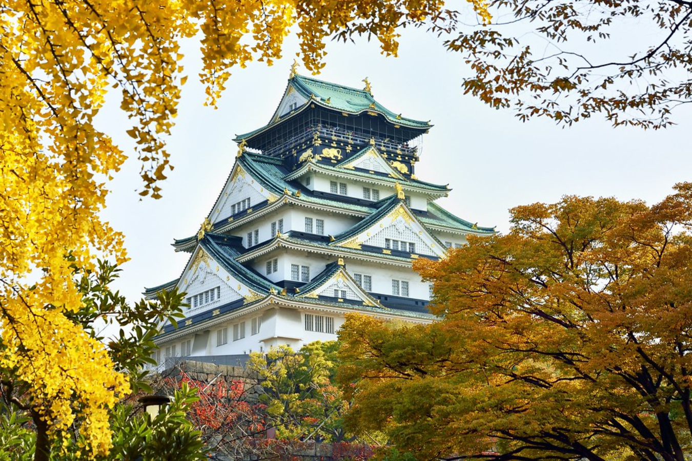OSAKA - KOBE –  KYOTO – PHÚ SĨ – TOKYO