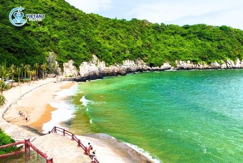 Tour Hải Phòng: Hà Nội - Đảo Ngọc Cát Bà | 2 ngày 1 đêm