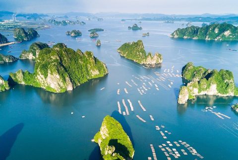 Tour Hạ Long: Hà Nội - Vịnh Hạ Long - Bào tàng Quảng Ninh | 2 ngày 1 đêm