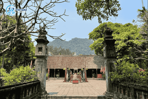 Tour Ninh Bình: Hoa Lư - Tam Cốc - Hang Múa | 1 ngày