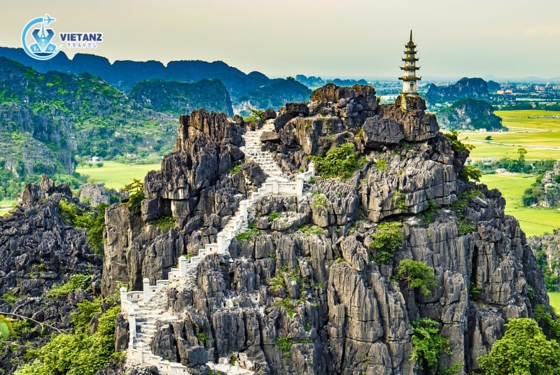 Tour Ninh Bình: Hoa Lư - Tràng An - Hang Múa | 1 ngày