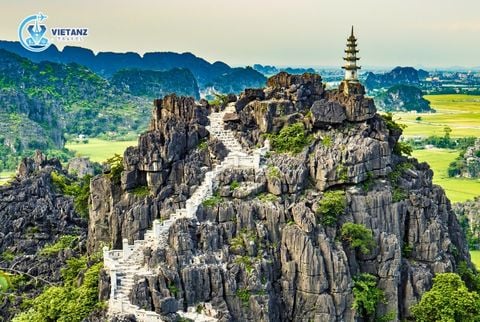 Tour Ninh Bình: Hoa Lư - Tràng An - Hang Múa | 1 ngày