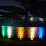  COMI-ADT 1W-3W-6W-9W-12W-18W-24W-36W-50W 