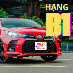 Khóa học lái xe ô tô HẠNG B (XE TỰ ĐỘNG)